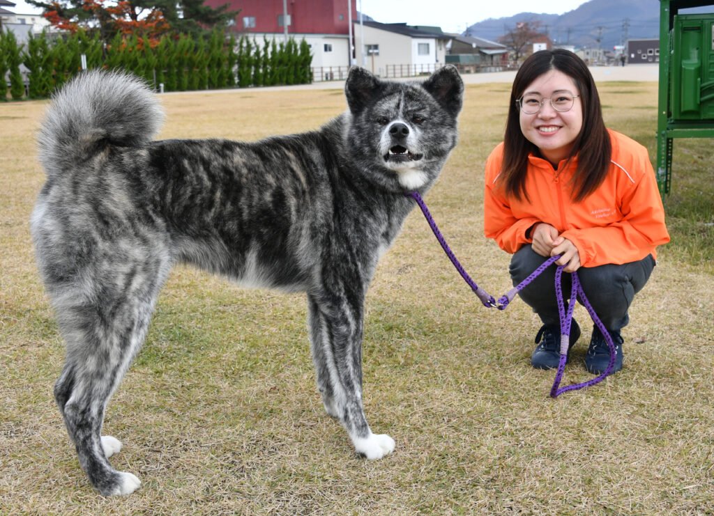 🐕 아키타견 마을(아키타이누노사토) 이미지 6